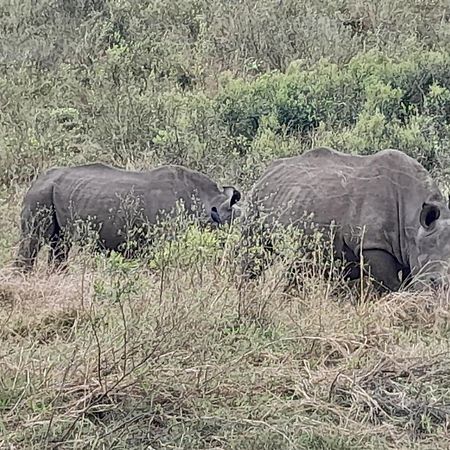 Отель Hluhluwe Gate Safari Camp Экстерьер фото