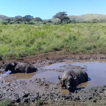 Отель Hluhluwe Gate Safari Camp Экстерьер фото
