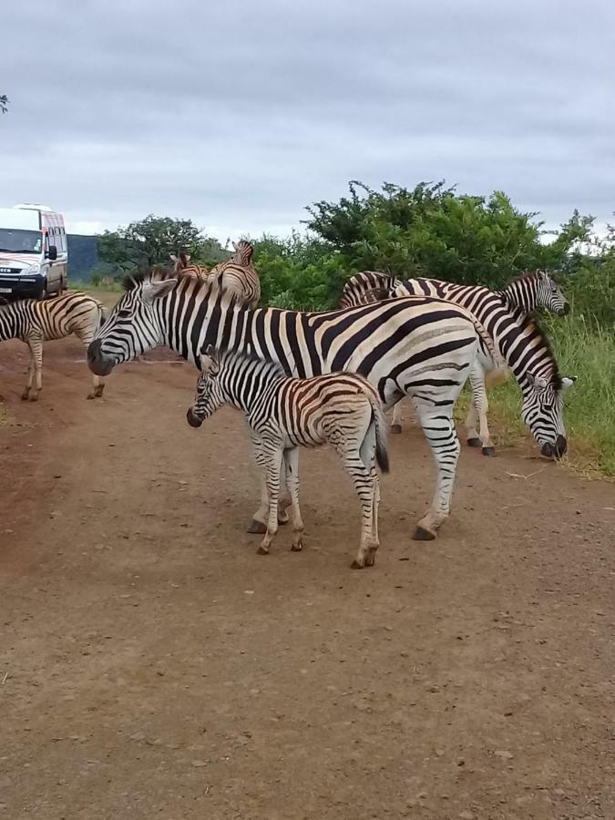 Отель Hluhluwe Gate Safari Camp Экстерьер фото