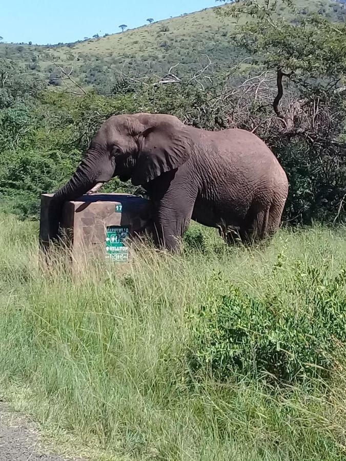Отель Hluhluwe Gate Safari Camp Экстерьер фото